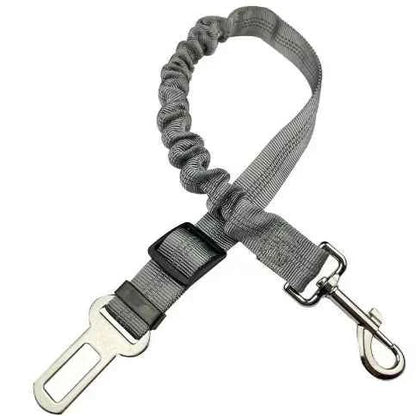 Dog seat belt by Zootly – photo 11