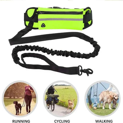 Running dog leash by Zootly – photo 2