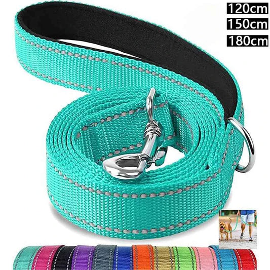 Reflective Dog Leash – Nylon, Night Safety