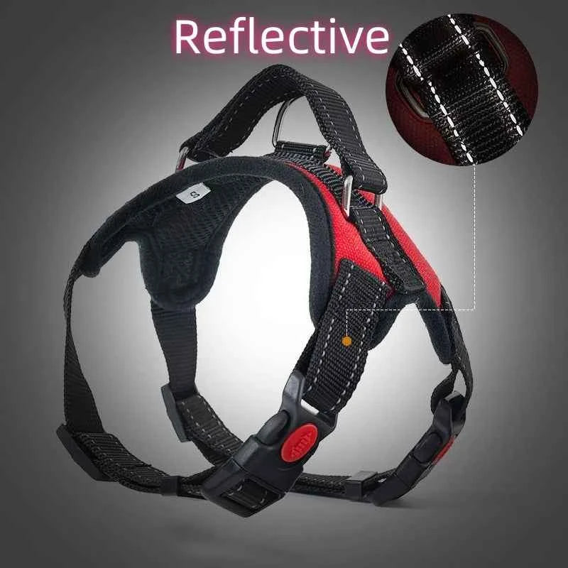 No pull dog vest harness by Zootly – photo 4
