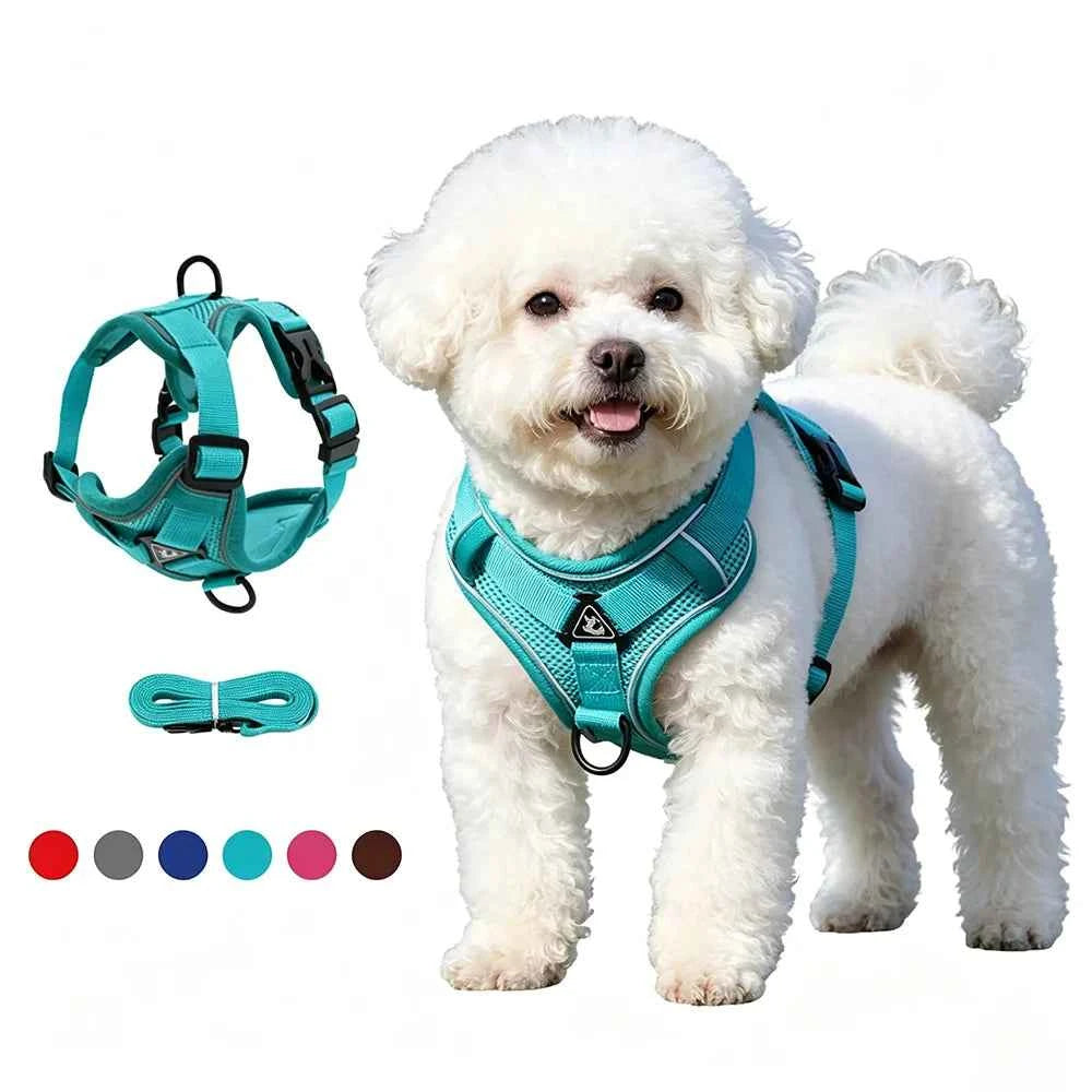 No-Pull Dog Harness and Leash Set – Reflective