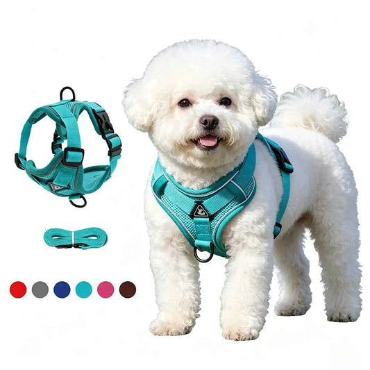 No-Pull Dog Harness and Leash Set – Reflective