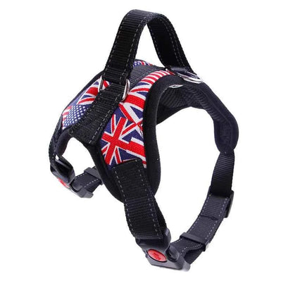 No pull dog vest harness by Zootly – photo 7