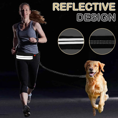 Double dog leash by Zootly – photo 5