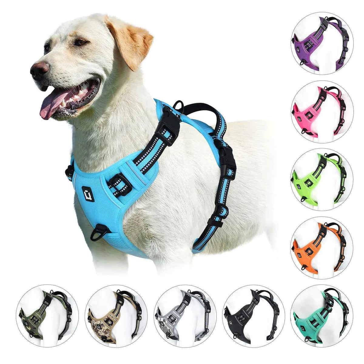 No-pull dog harness with padded vest and top control handle