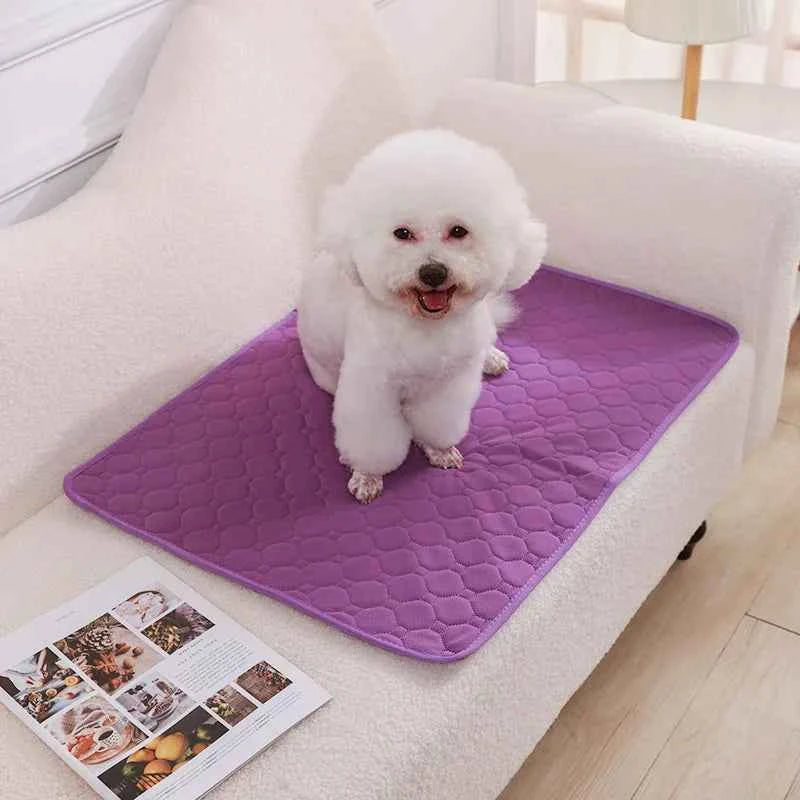 Washable puppy pads by Zootly – photo 7