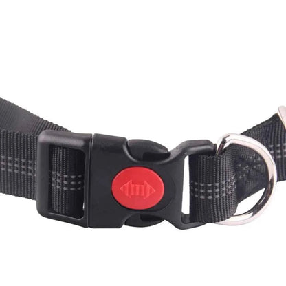 Retractable hands free dog leash by Zootly – photo 4