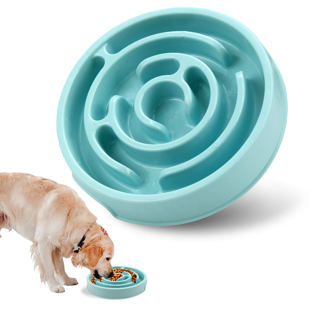 Gamelle anti-gloutonnerie à ralentisseur pour chien
