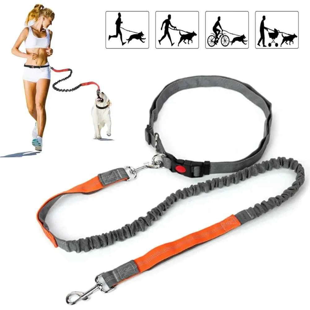 Retractable Hands-Free Dog Leash for Running & Cycling