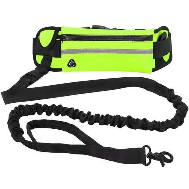 Running dog leash by Zootly – photo 9