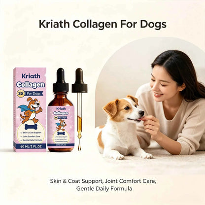 Collagen for dogs by Zootly – photo 2