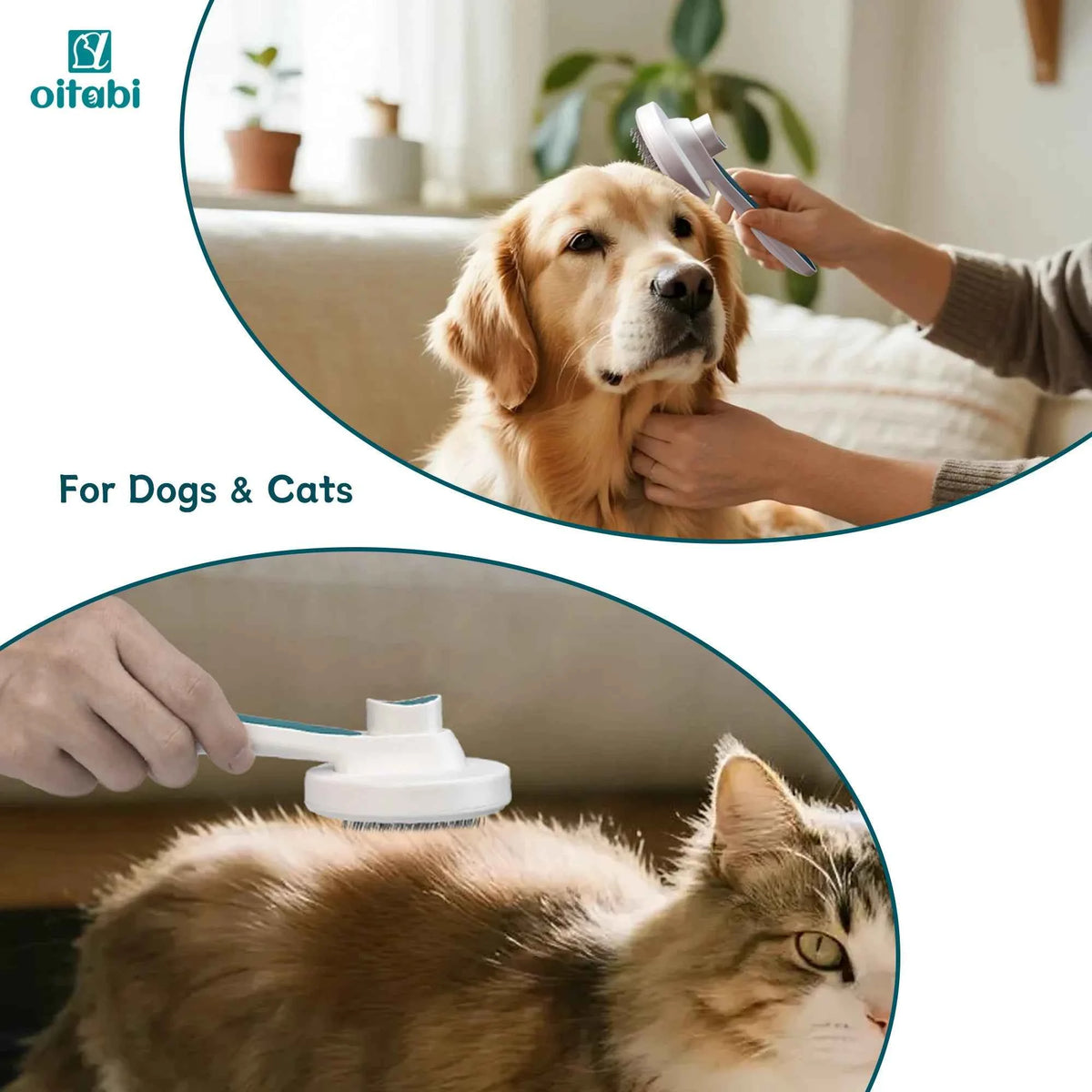 Self cleaning deshedding brush by Zootly – photo 6