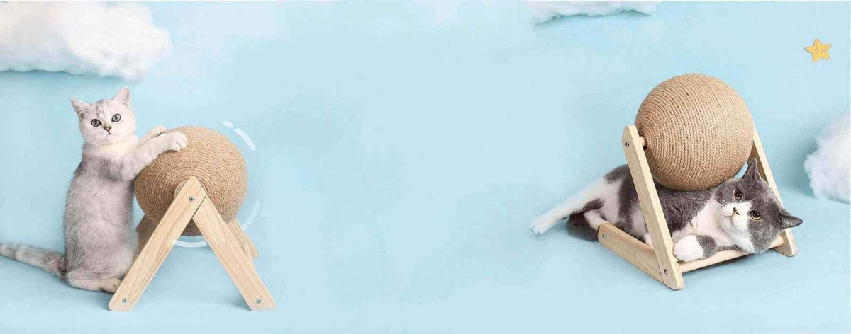 Dog and cat accessories from Zootly